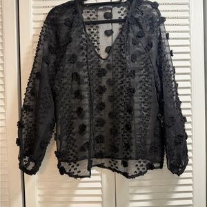 Zara Black Sheer Blouse Size Large
